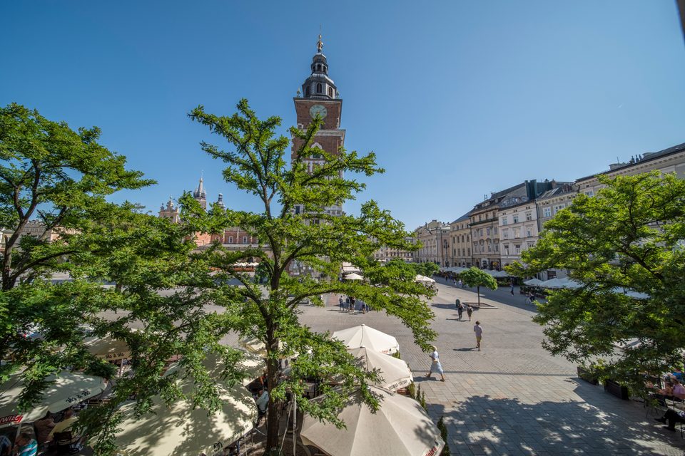 Widok z apartamentu na Wieżę Ratuszową i Rynek Główny