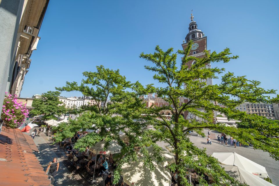 Panorama Rynku Głównego z okna apartamentu